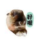 OH！CHARLIE（個別スタンプ：15）