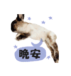 OH！CHARLIE（個別スタンプ：16）