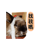 OH！CHARLIE（個別スタンプ：18）