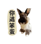 OH！CHARLIE（個別スタンプ：20）