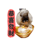 OH！CHARLIE（個別スタンプ：25）