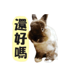 OH！CHARLIE（個別スタンプ：28）