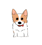 Lovely corgi woof woof woof（個別スタンプ：1）