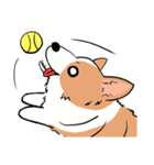 Lovely corgi woof woof woof（個別スタンプ：2）