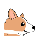 Lovely corgi woof woof woof（個別スタンプ：4）
