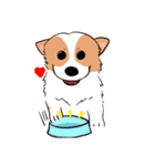 Lovely corgi woof woof woof（個別スタンプ：5）