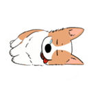 Lovely corgi woof woof woof（個別スタンプ：6）