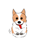 Lovely corgi woof woof woof（個別スタンプ：7）
