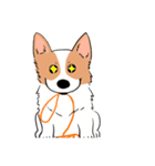 Lovely corgi woof woof woof（個別スタンプ：8）