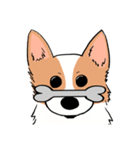 Lovely corgi woof woof woof（個別スタンプ：9）
