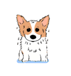 Lovely corgi woof woof woof（個別スタンプ：11）