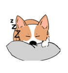 Lovely corgi woof woof woof（個別スタンプ：14）