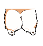 Lovely corgi woof woof woof（個別スタンプ：15）