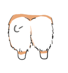 Lovely corgi woof woof woof（個別スタンプ：16）
