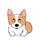 Lovely corgi woof woof woof（個別スタンプ：17）