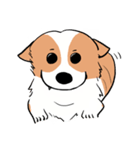Lovely corgi woof woof woof（個別スタンプ：18）