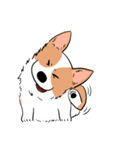 Lovely corgi woof woof woof（個別スタンプ：19）