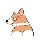 Lovely corgi woof woof woof（個別スタンプ：21）