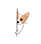 Lovely corgi woof woof woof（個別スタンプ：25）