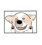 Lovely corgi woof woof woof（個別スタンプ：26）