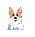 Lovely corgi woof woof woof（個別スタンプ：28）