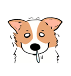 Lovely corgi woof woof woof（個別スタンプ：29）