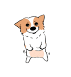 Lovely corgi woof woof woof（個別スタンプ：33）
