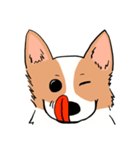 Lovely corgi woof woof woof（個別スタンプ：34）