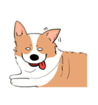 Lovely corgi woof woof woof（個別スタンプ：35）