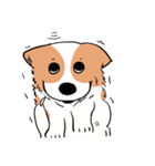 Lovely corgi woof woof woof（個別スタンプ：38）