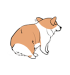Lovely corgi woof woof woof（個別スタンプ：39）