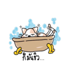 Cat meow！（個別スタンプ：1）