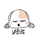Cat meow！（個別スタンプ：2）