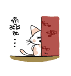 Cat meow！（個別スタンプ：5）