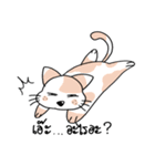 Cat meow！（個別スタンプ：7）