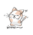 Cat meow！（個別スタンプ：8）