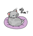 Cat meow！（個別スタンプ：11）