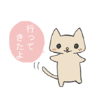 へいぼんねこ（個別スタンプ：17）