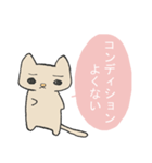 へいぼんねこ（個別スタンプ：20）