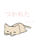 へいぼんねこ（個別スタンプ：29）