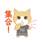 ばんにゃるちゃん（個別スタンプ：4）
