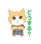 ばんにゃるちゃん（個別スタンプ：15）