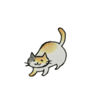 ゆるだるにゃんこ（個別スタンプ：12）