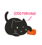 Salmoncat（個別スタンプ：2）