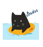 Salmoncat（個別スタンプ：14）