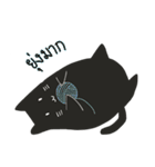 Salmoncat（個別スタンプ：18）