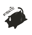 Salmoncat（個別スタンプ：32）