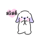 Rabbit ChaCha（個別スタンプ：1）