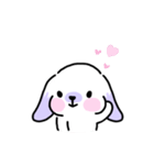 Rabbit ChaCha（個別スタンプ：4）