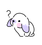 Rabbit ChaCha（個別スタンプ：5）